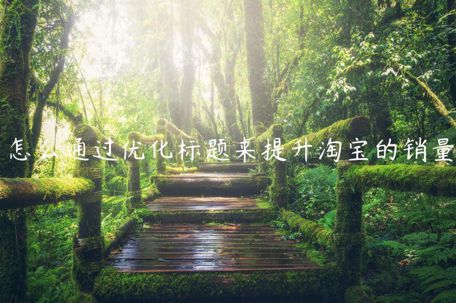 怎么通過優(yōu)化標(biāo)題來提升淘寶的銷量